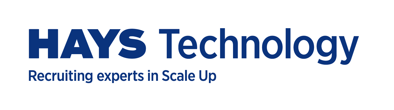 HAYS Technology