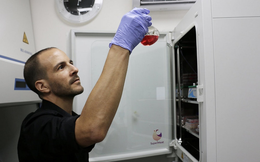 Labgrown meat what Europe's startups are cooking up Sifted