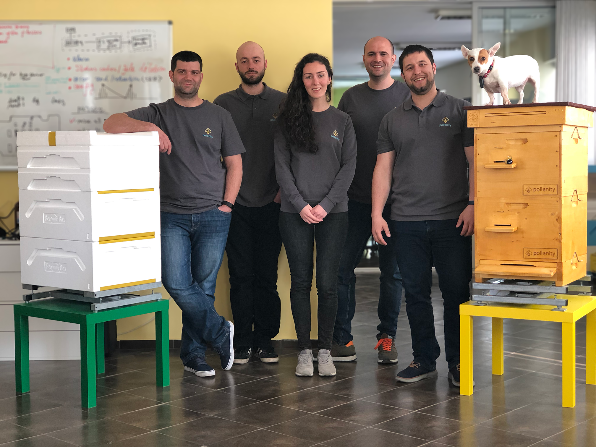 The team at Pollenity bee tech startup.