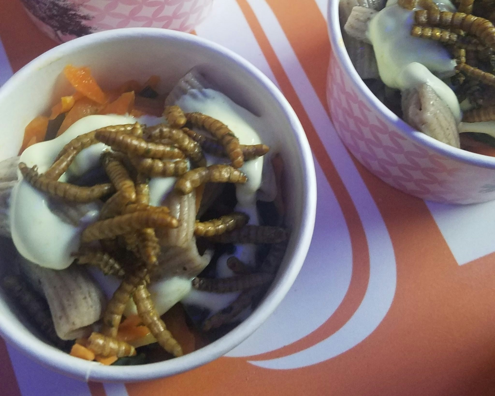 Jimini's edible insects on top of pasta on offer at the Hello Tomorrow tech conference
