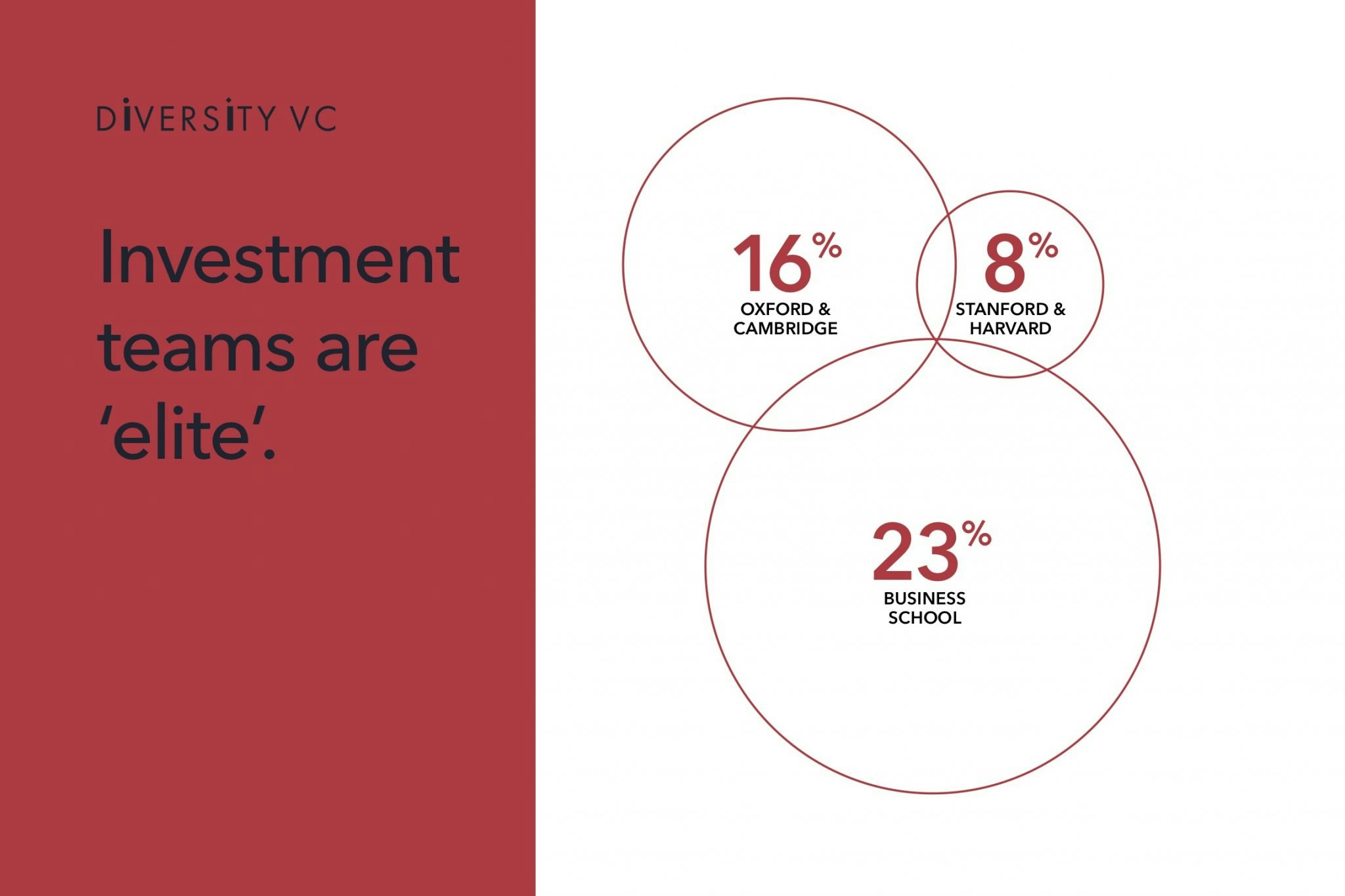 Graphic of Diversity VC report