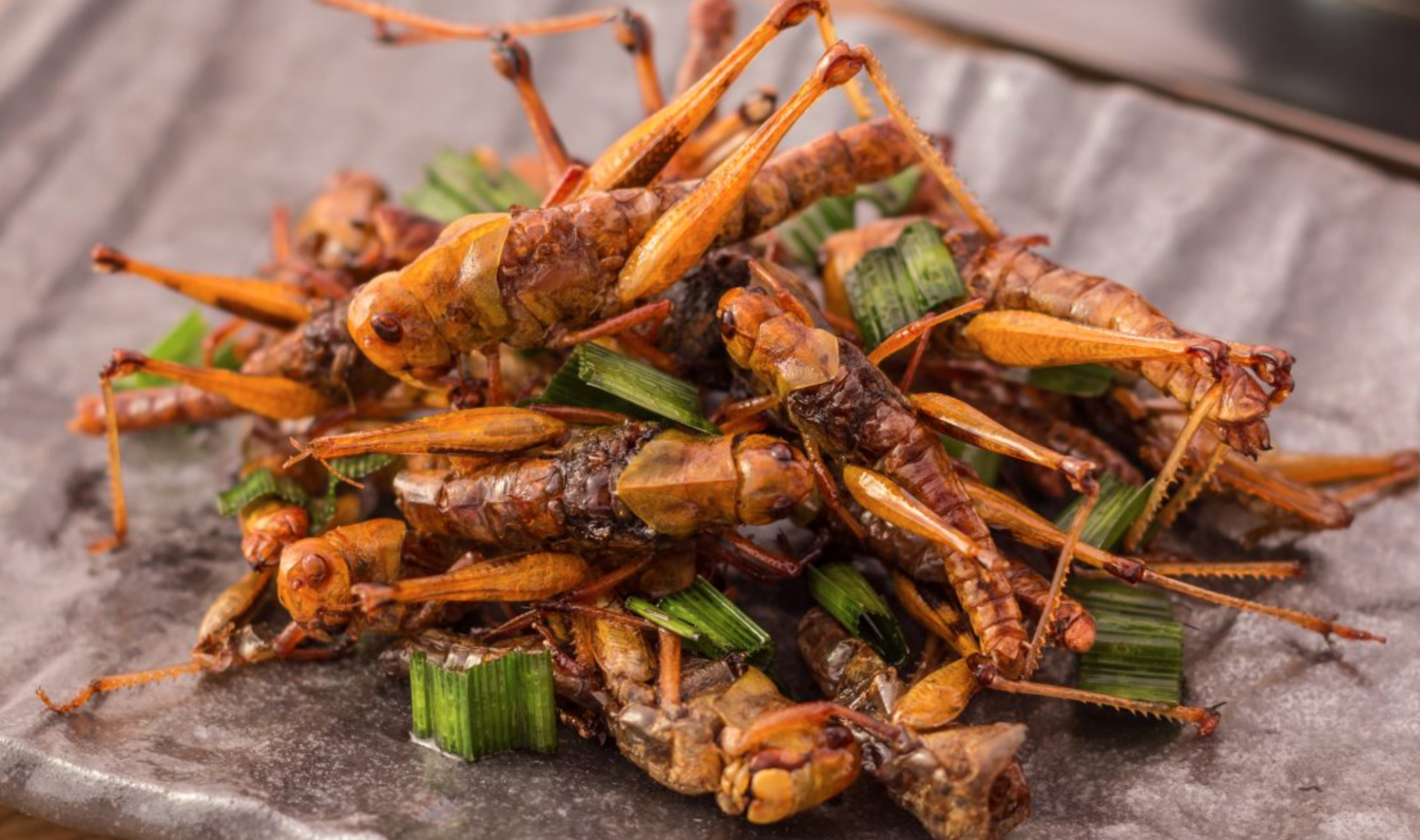 Picture of edible insects with seasoning