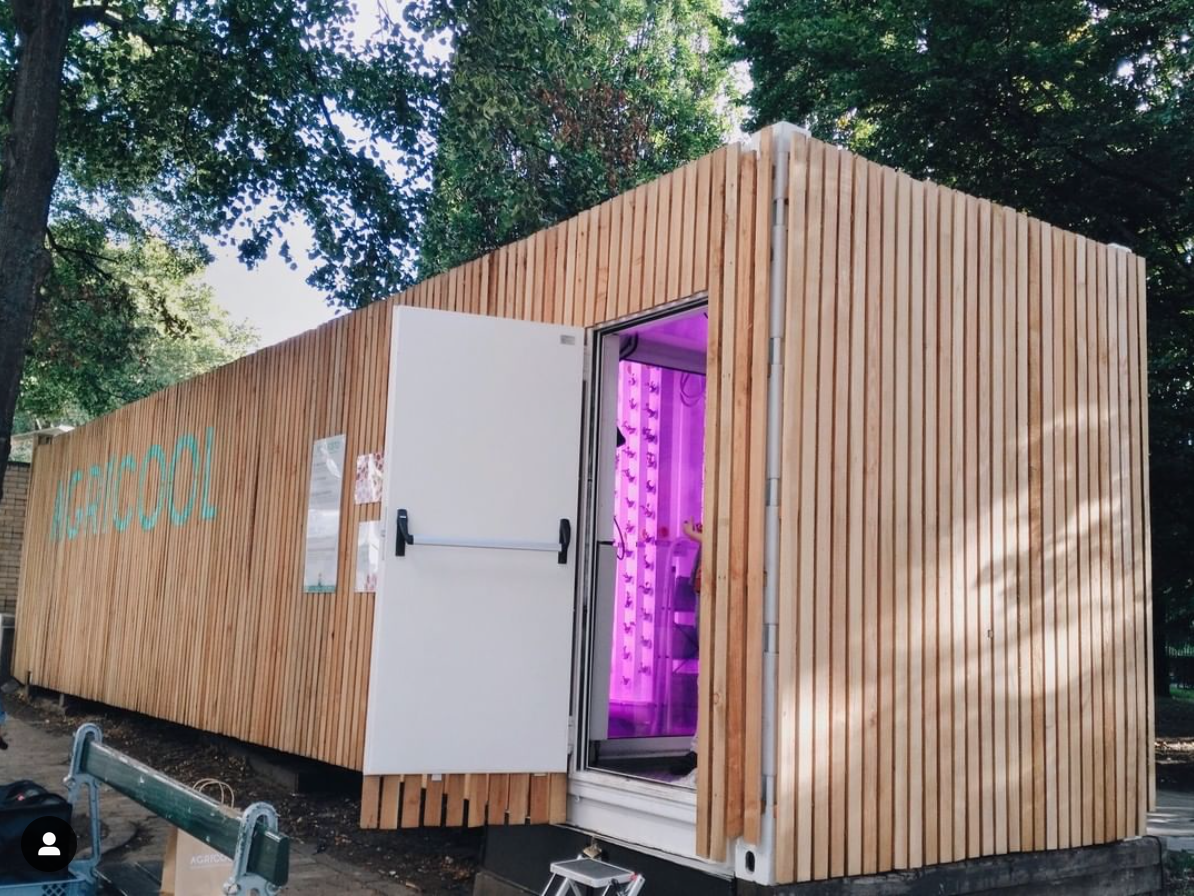 Agricool's farm, in a wooden container unit with pink interiors visible from an open door