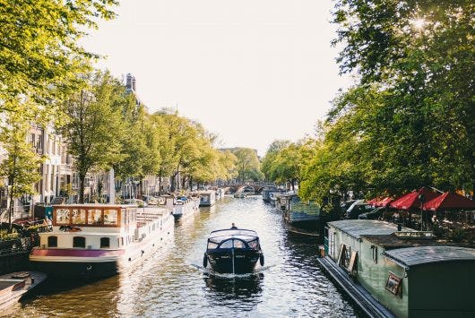 The Netherlands' startups and scaleups to watch in 2021