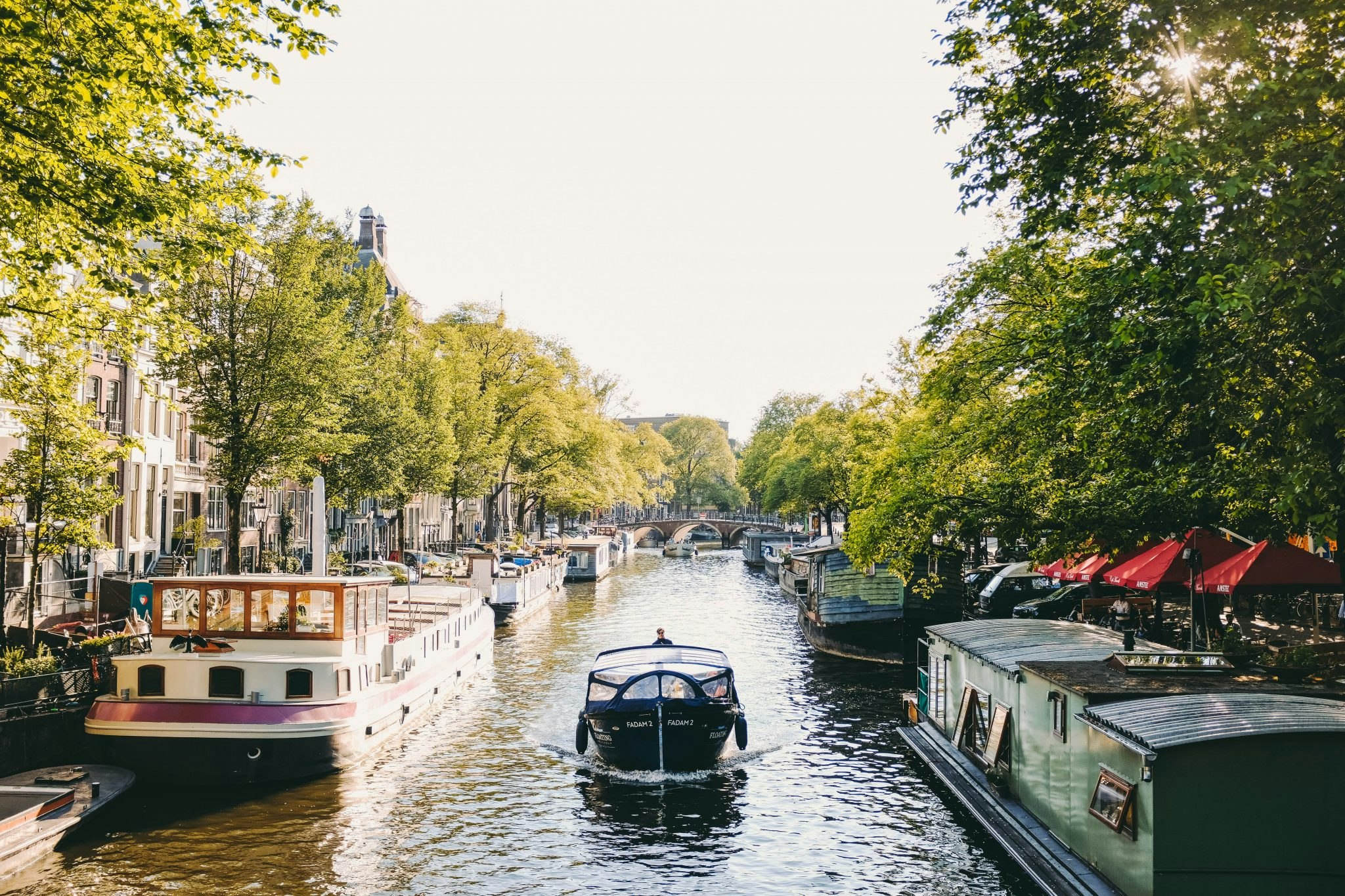 Spotlight on Dutch tech: AI catchup or 'stagnation'?