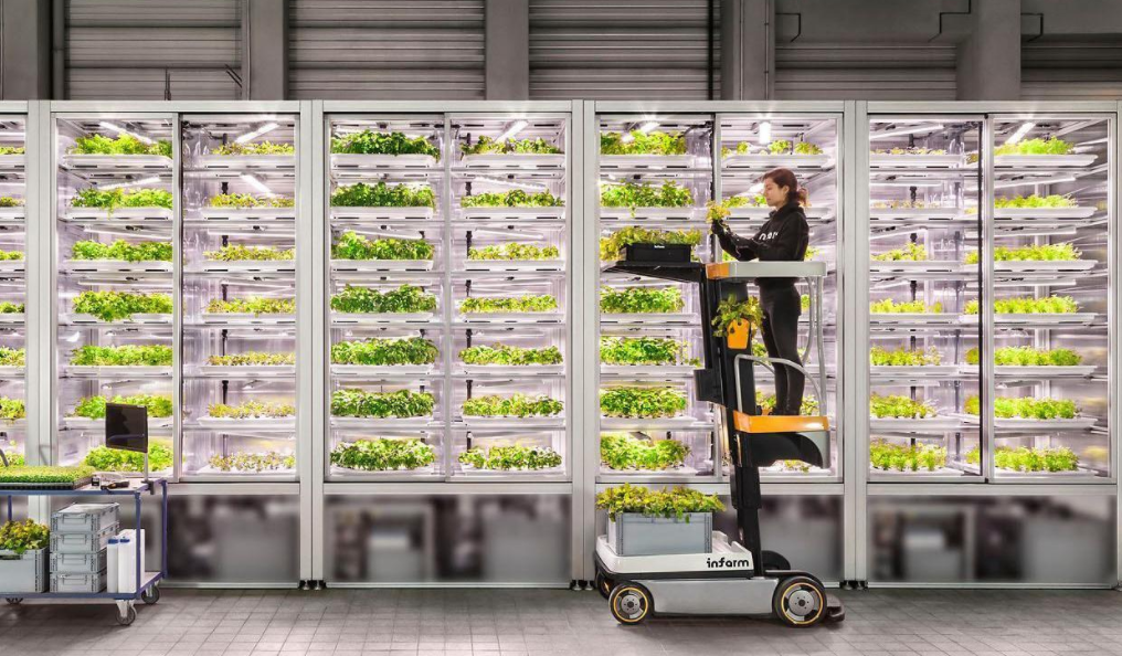 Some of Infarm's Vertical Farming units fulled with green plants