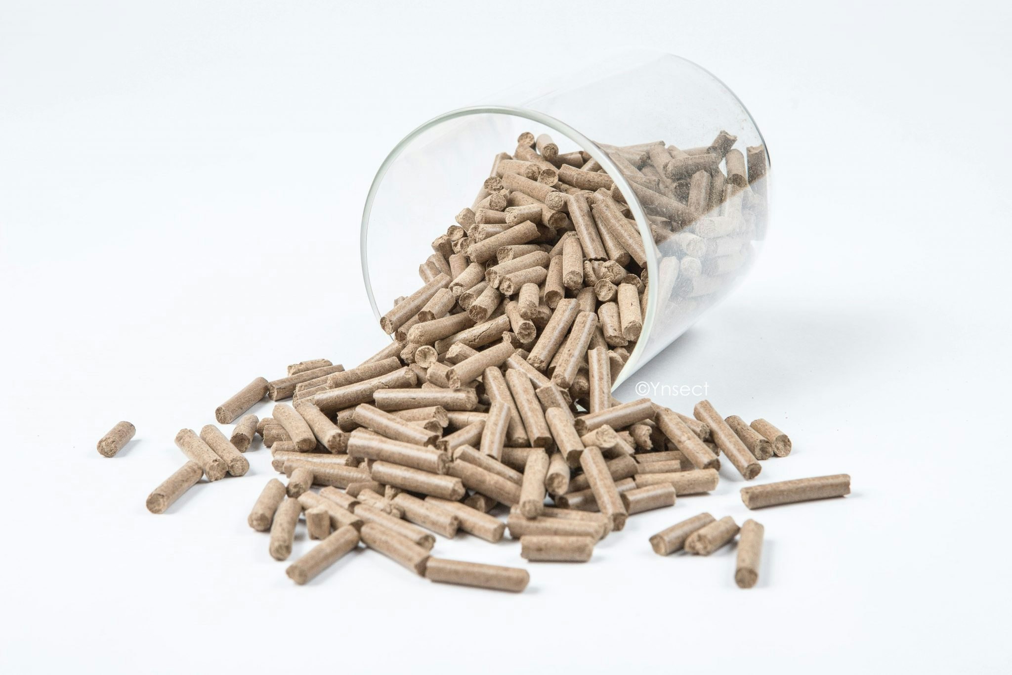 Ynsect's Ynfrass pellets