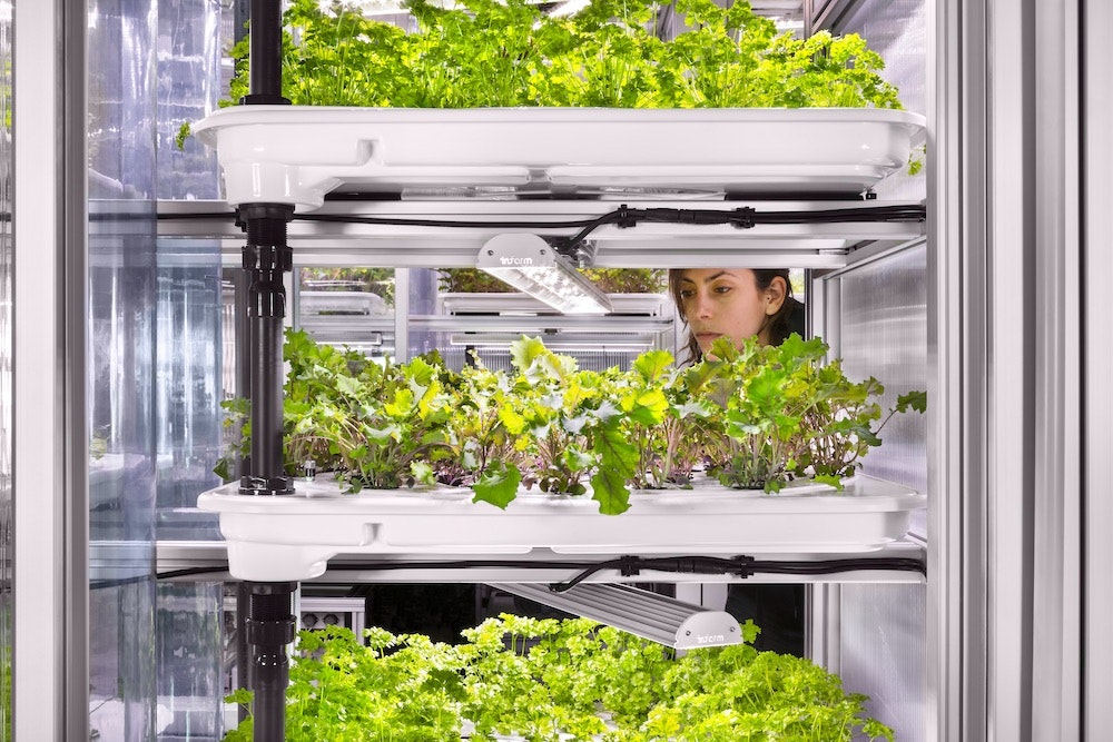 Vertical farming crops