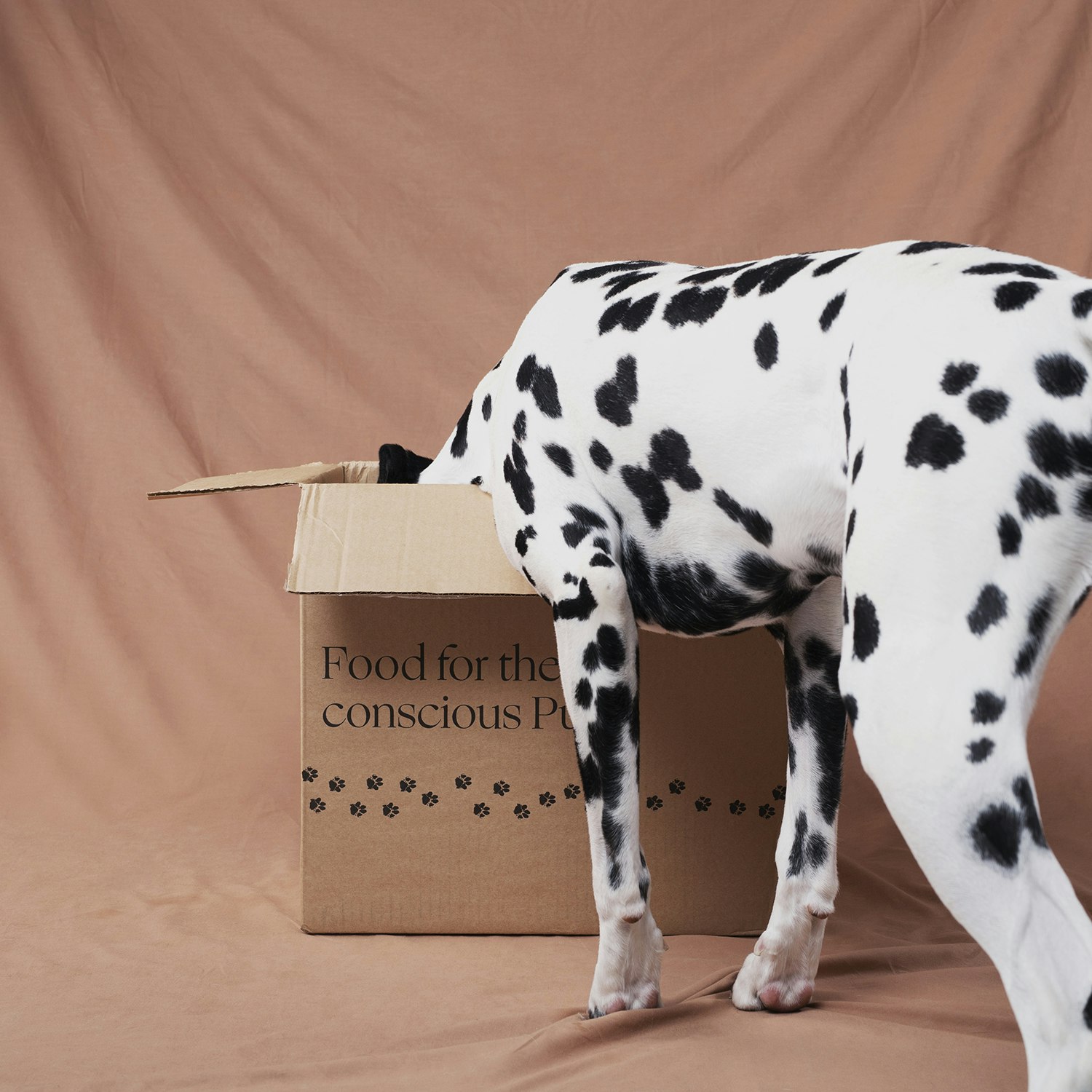 Dog eating Alvar Pet pet food