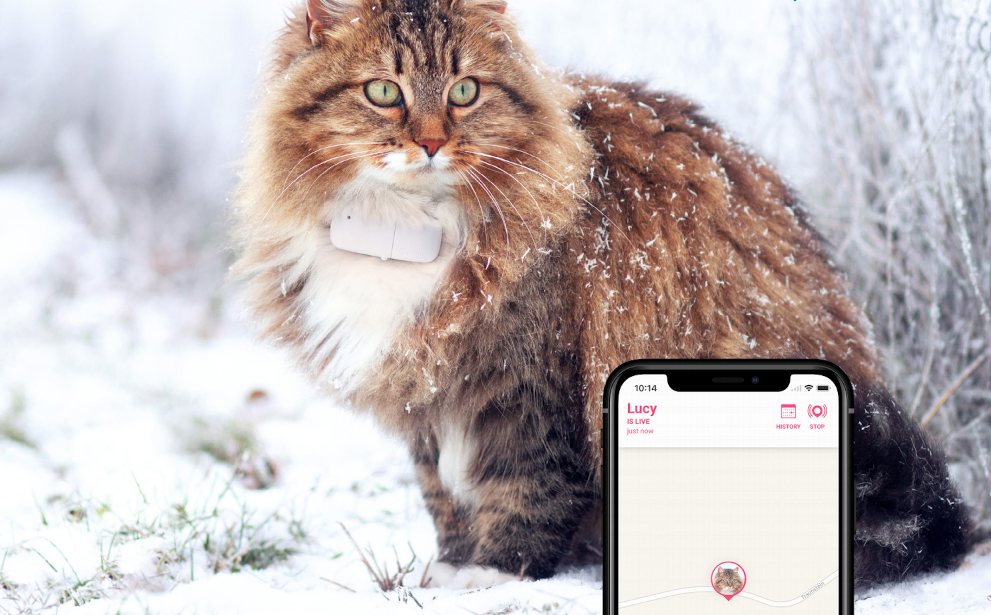 Tractive: “Europe is a decade behind in pet tech”
