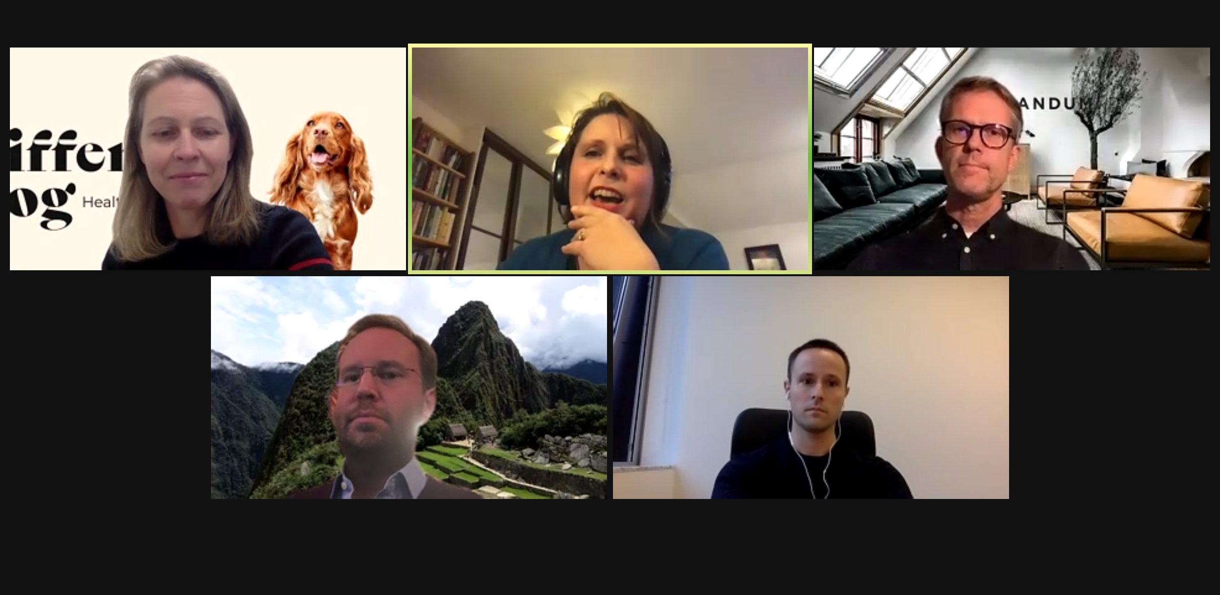 Screengrab from Sifted Pet Tech webinar