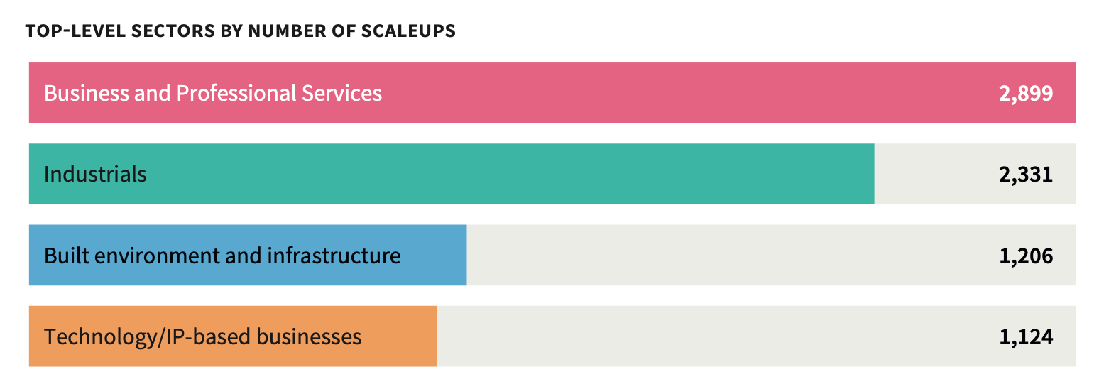 Top Scaleups by sectors in the UK 