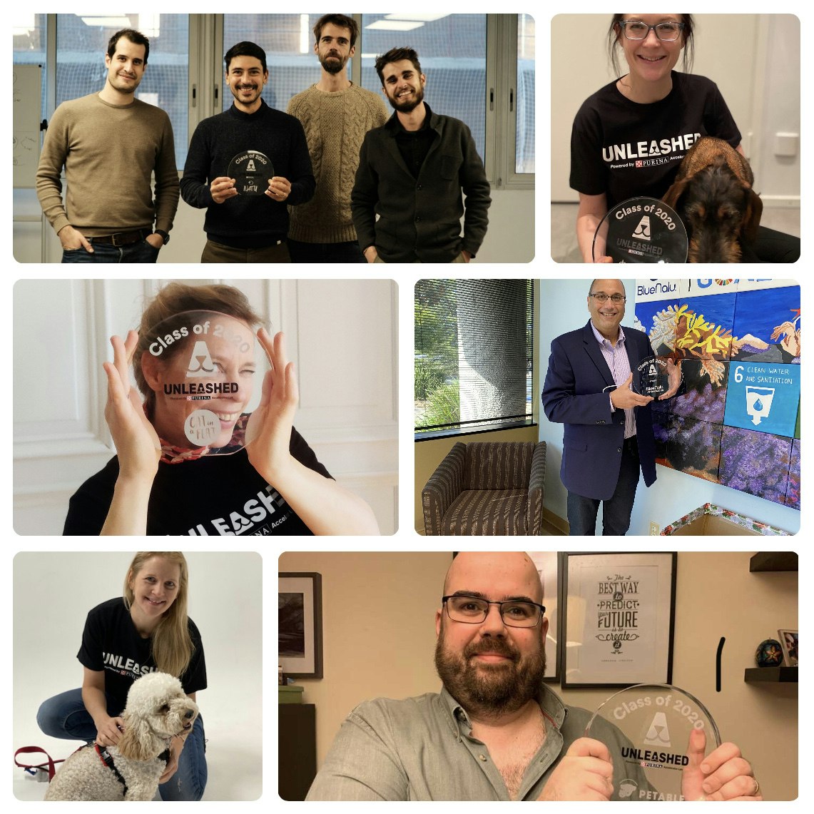 Startups in the Unleashed accelerator
