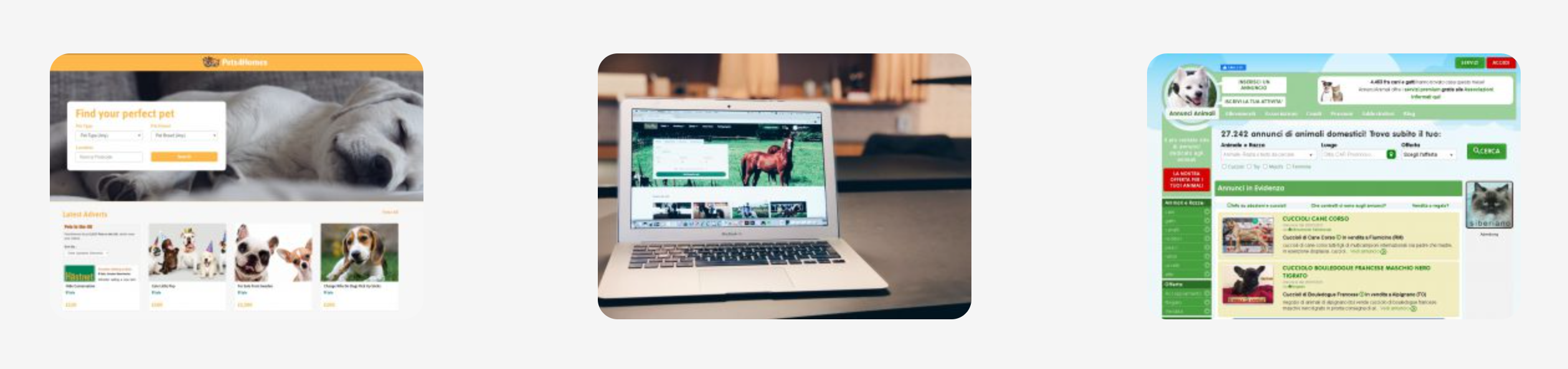 Pet Media Group websites