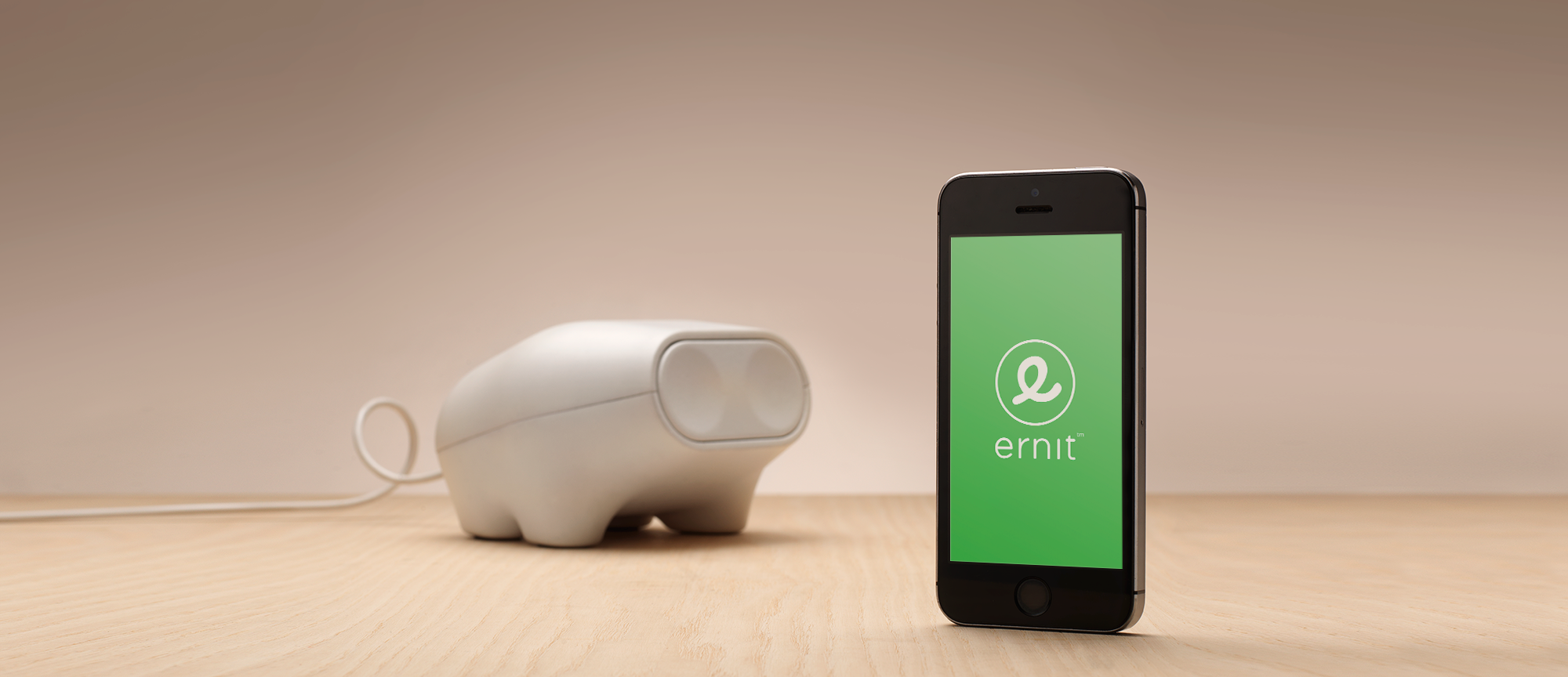 Ernit piggy bank and app