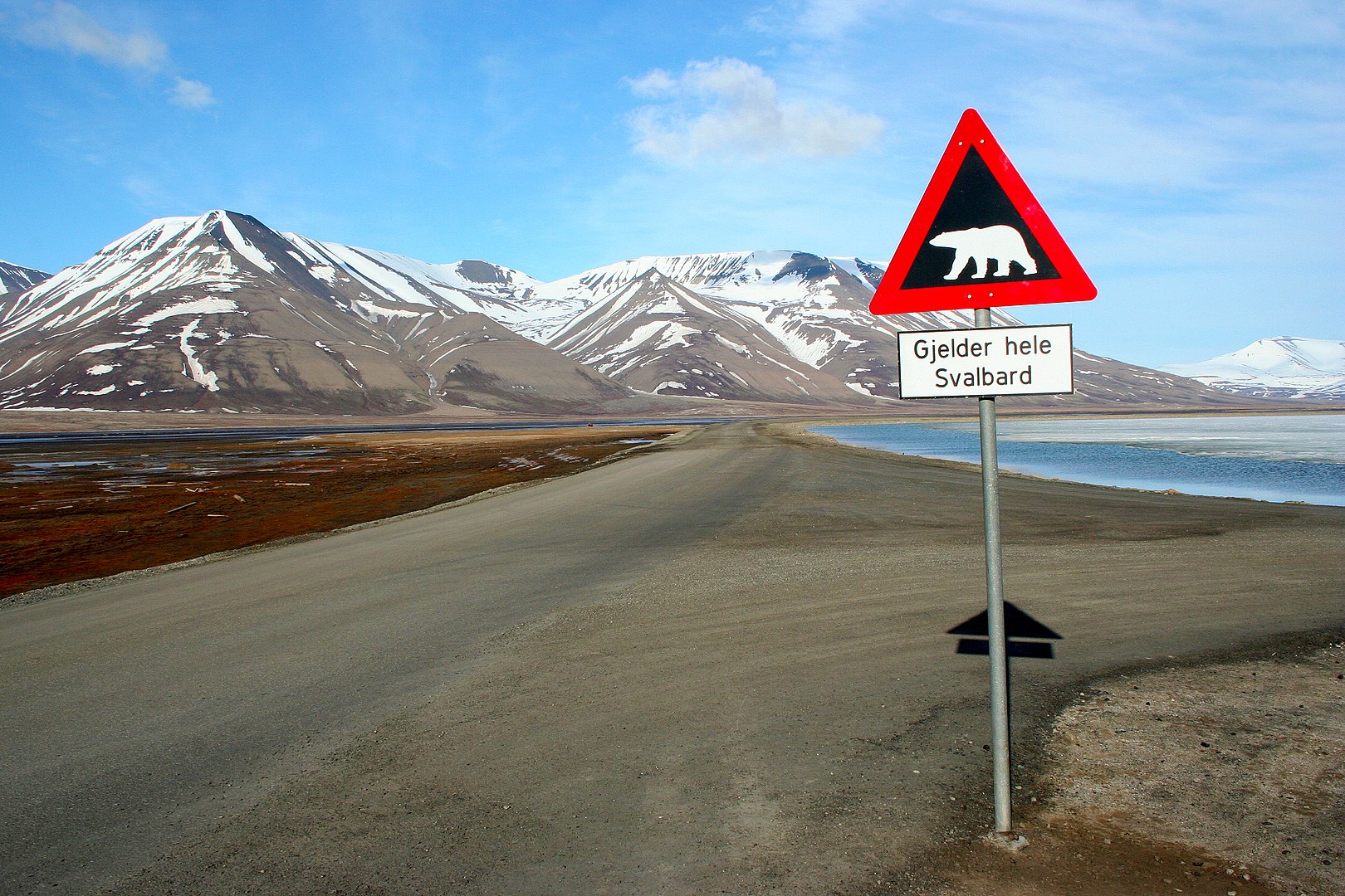 This freezing island in Norway is pretty great for digital nomads | Sifted