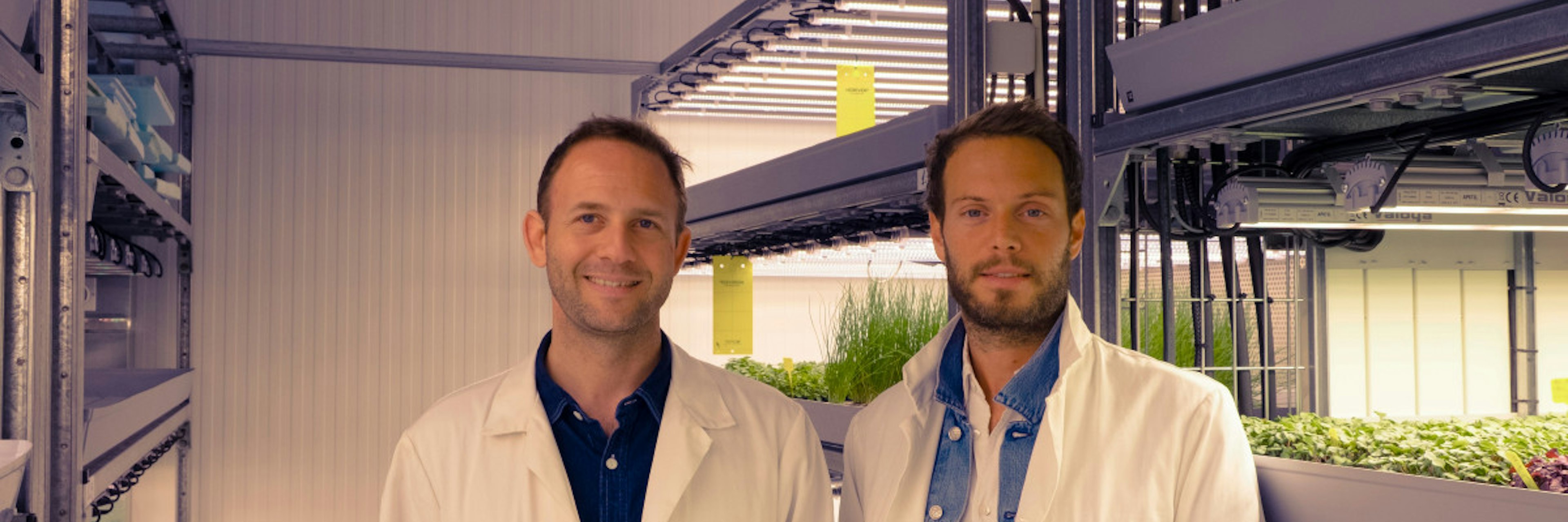 Jungle founders Nicolas Seguy and Gilles Dreyfus