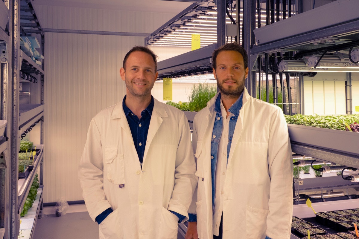 Jungle founders Nicolas Seguy and Gilles Dreyfus