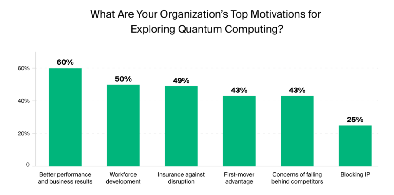 Motivations for investing in quantum computing