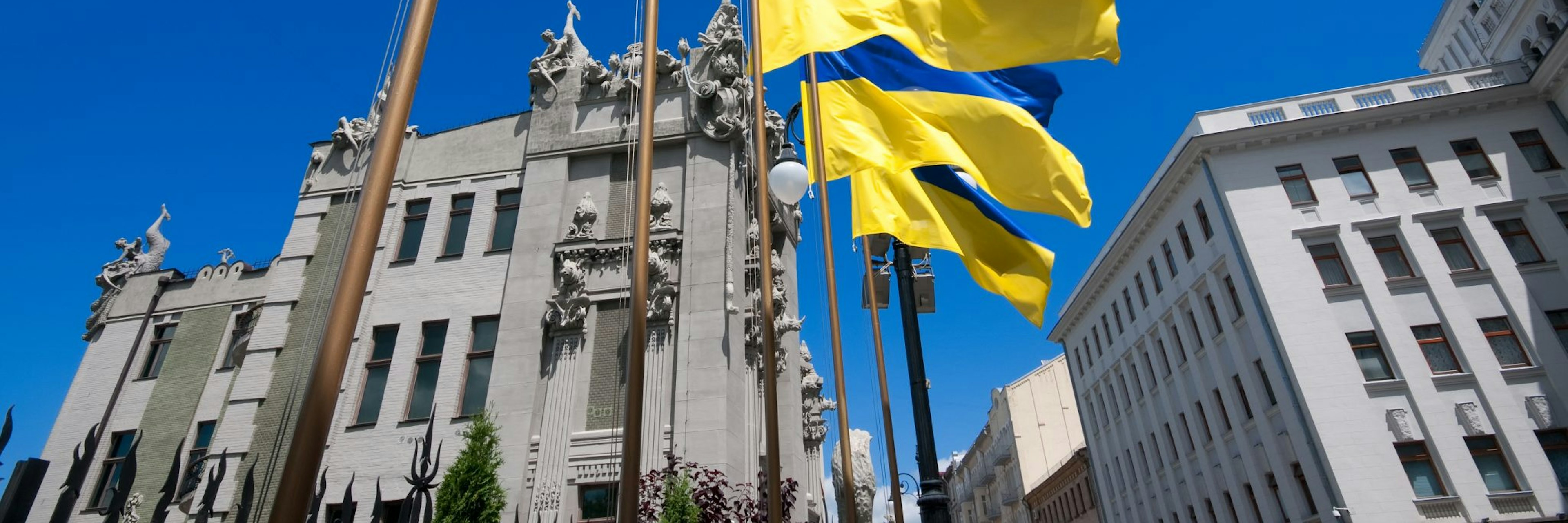 Flags in Ukraine