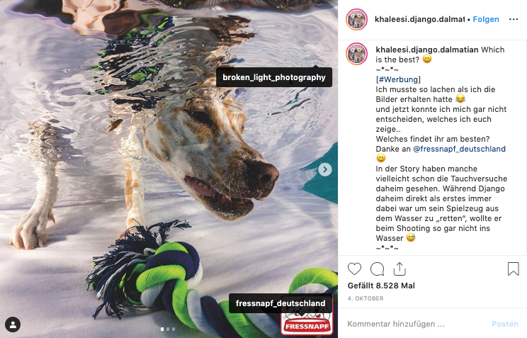 Fressnapft picture of dog reaching under water for a toy