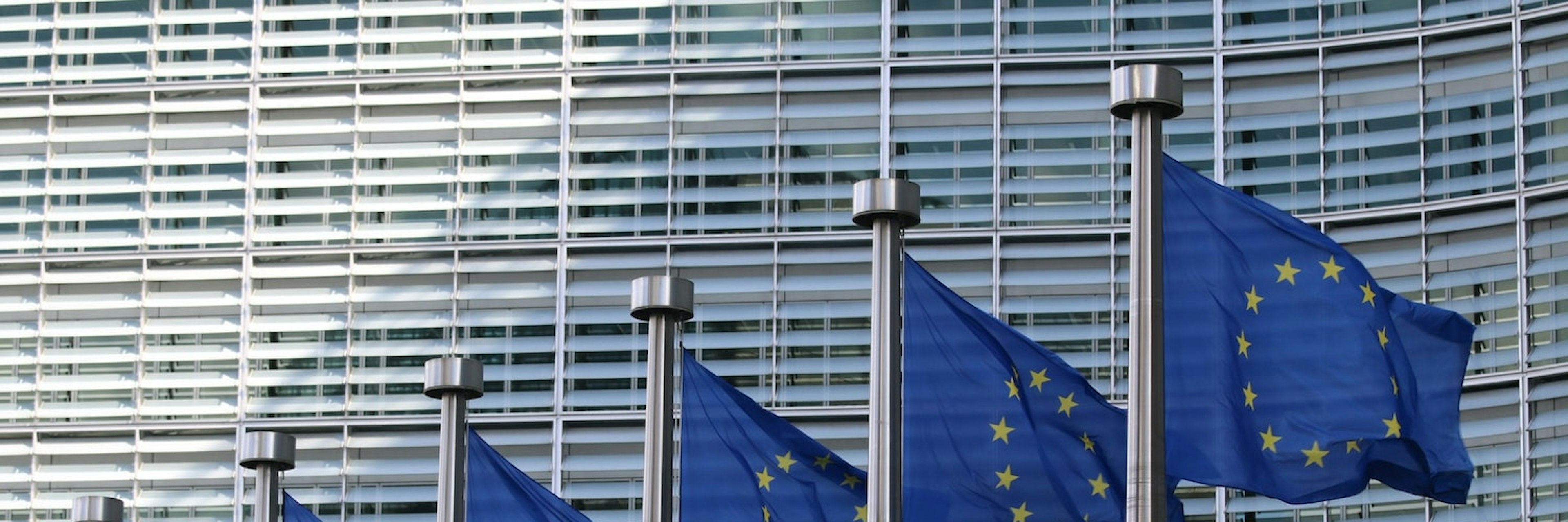 Image of EU flags outside the European Commission building in Brussels