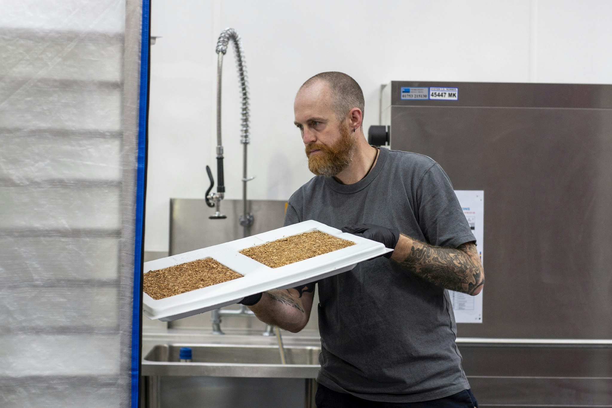 The Magical Mushroom Company's production process for its mycelium-based plastic alternative