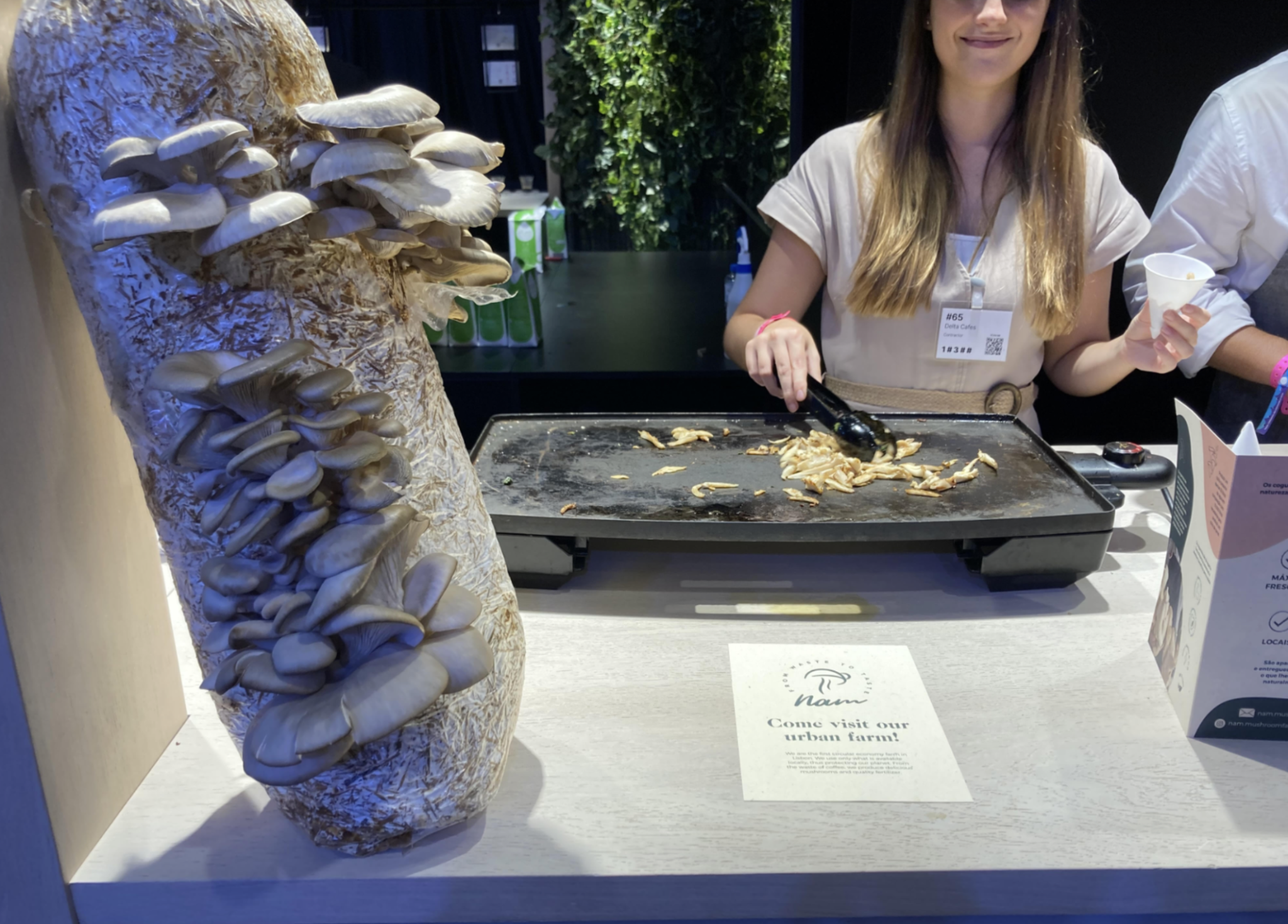 A photo of mushrooms growing on a log at a conference stall 