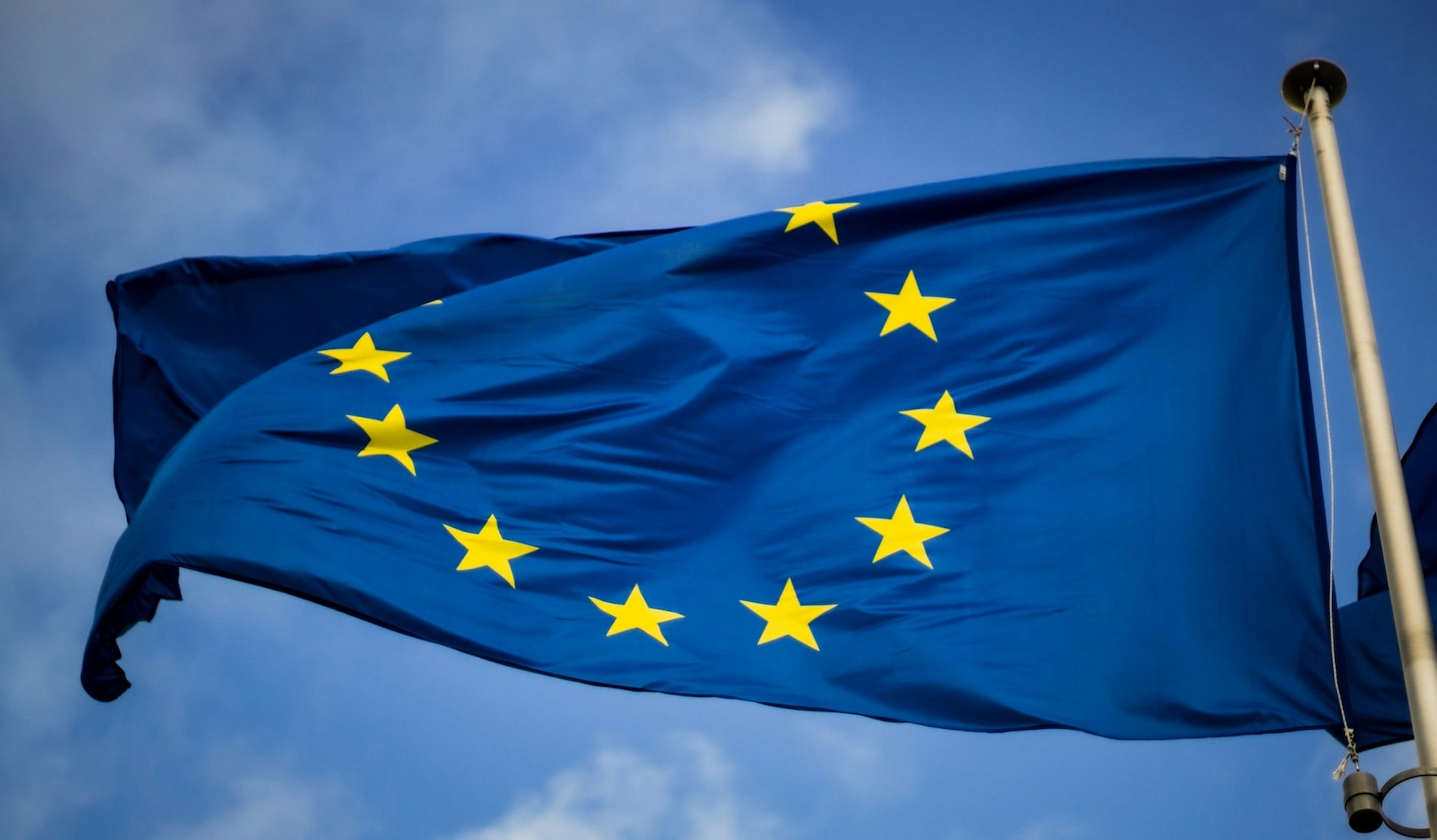 An image of the European Union flag