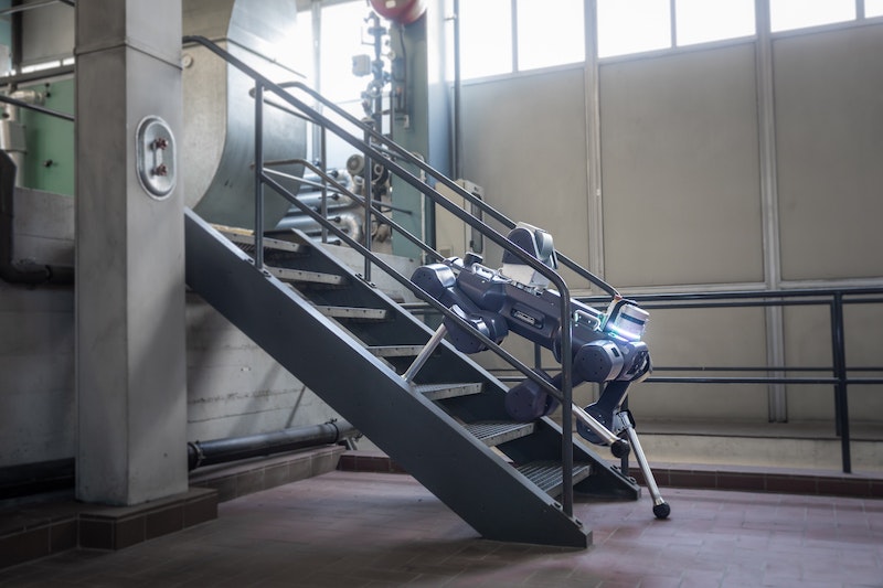 ANYbotics' ANYmal X robot climbing some stairs