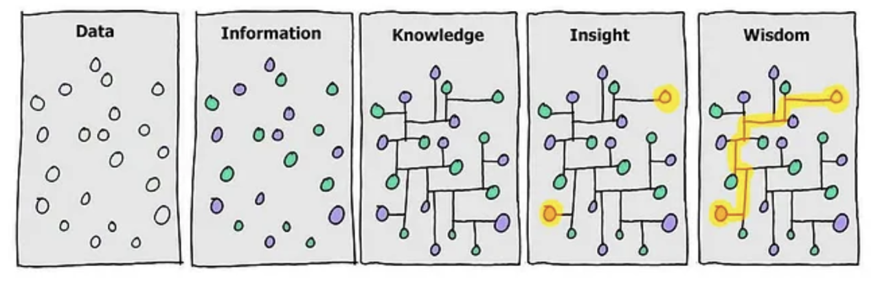 An illustration of dots and lines that gets more connected, the first box reads &quot;data&quot; and the last &quot;wisdom&quot; 