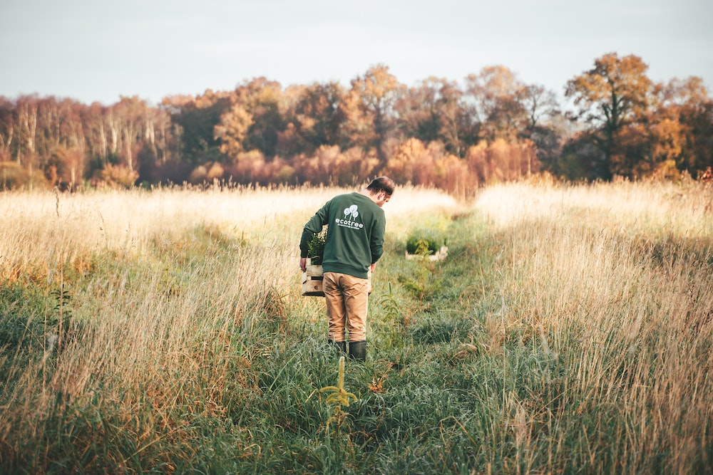 A member of the EcoTree planting a tree.