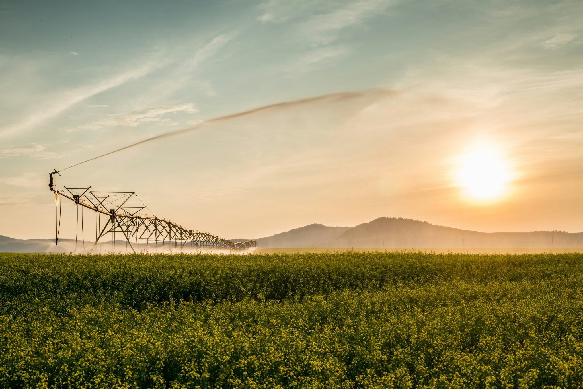 Future farms: How European agritechs can capture the North American market Future farms: How European agritechs can capture the North American market