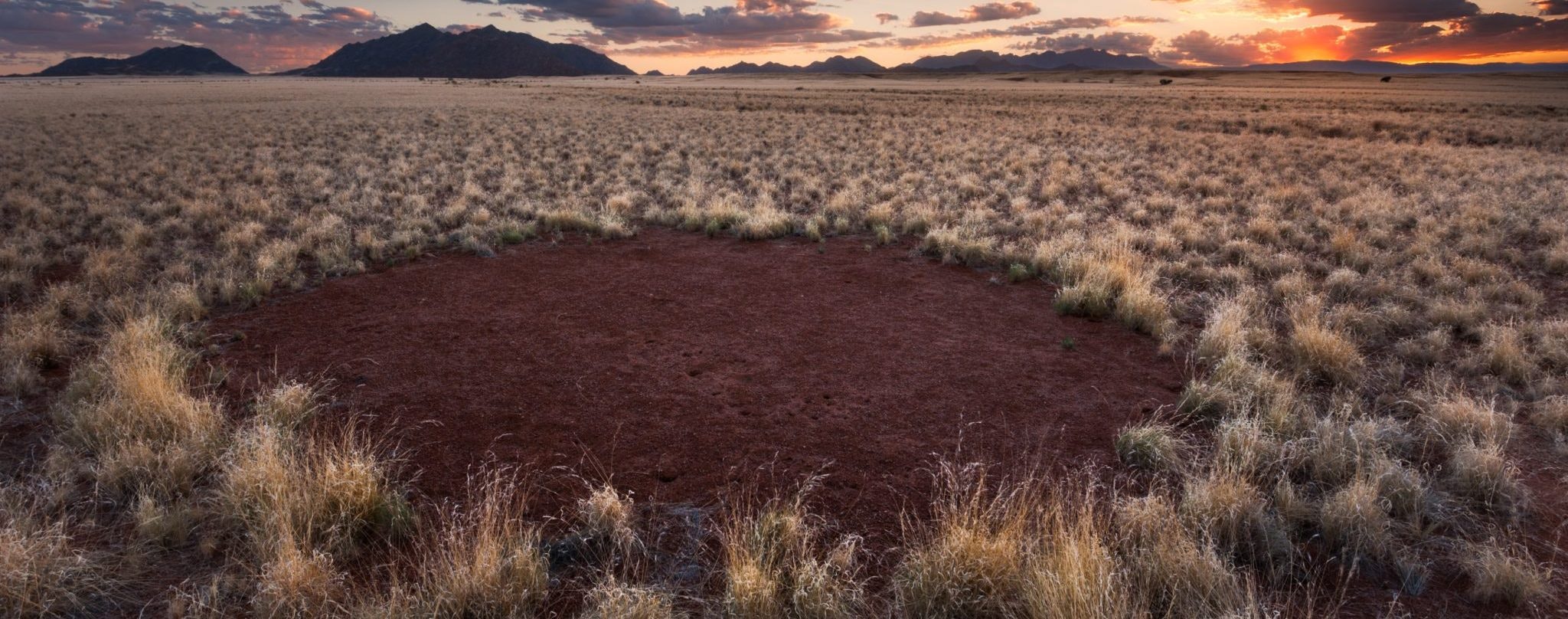 A fairy circle, indicating where hydrogen has seeped out from underground.