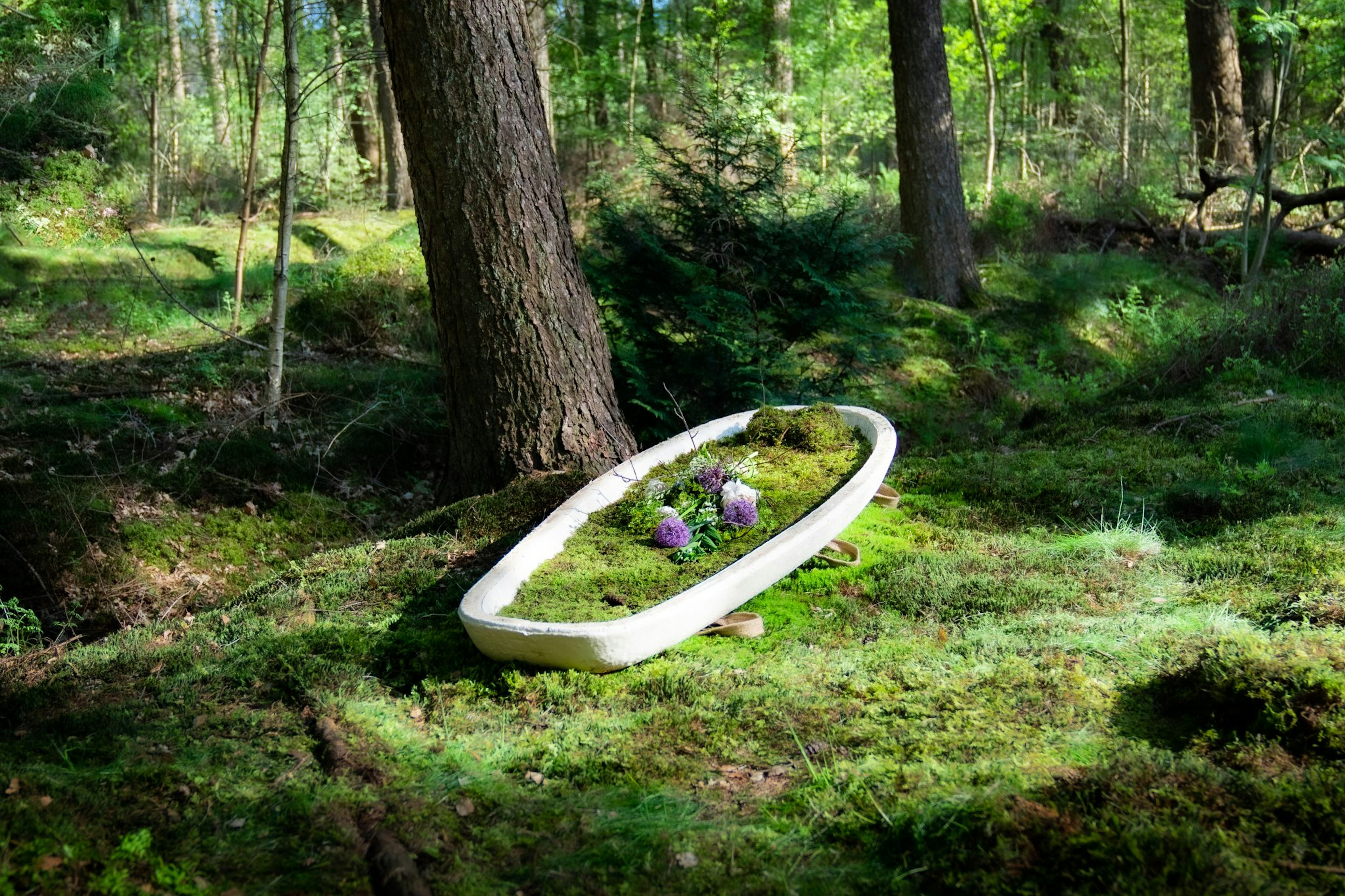 Loop Biotech's ForestBed™ product in a green forest