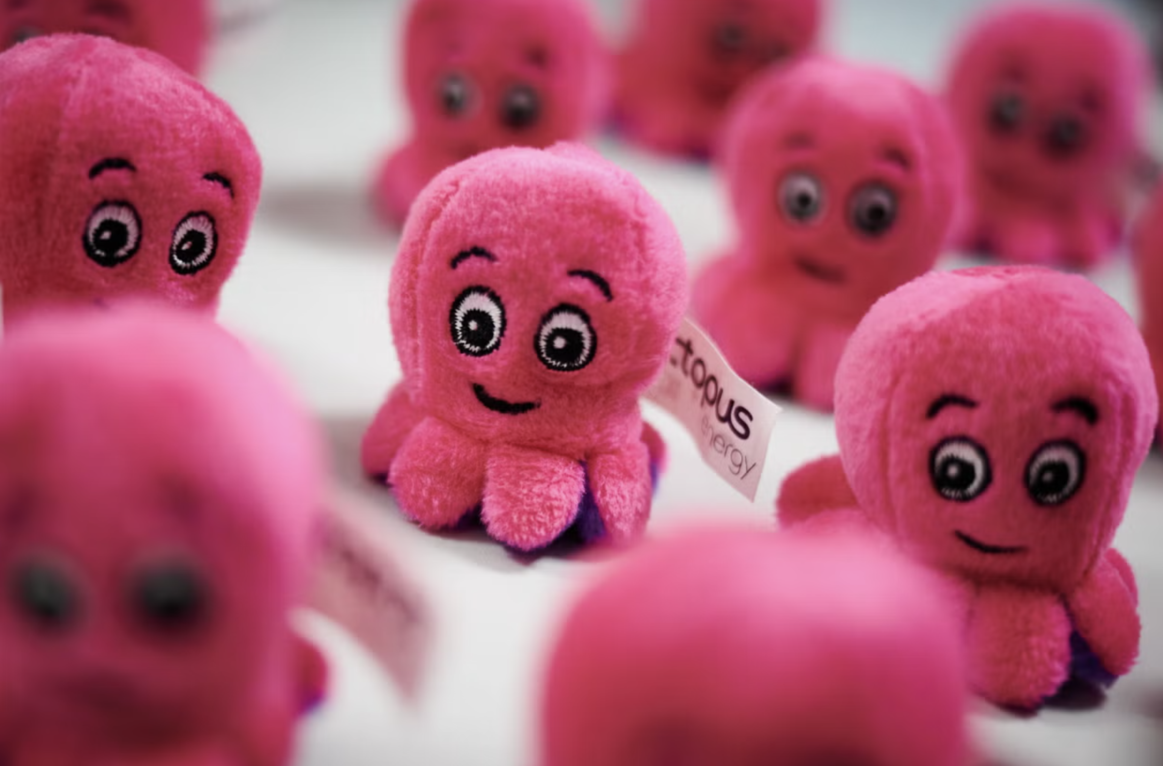 A fluffy toy of Octopus Energy's mascot.