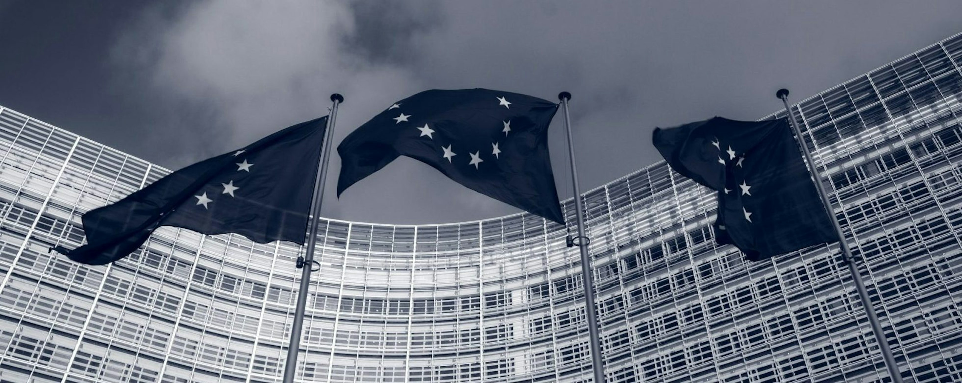 A picture of EU flags outside the European Commission building