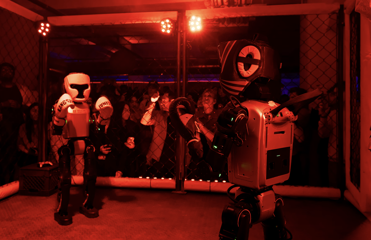 Source: Ultimate Fighting Bots