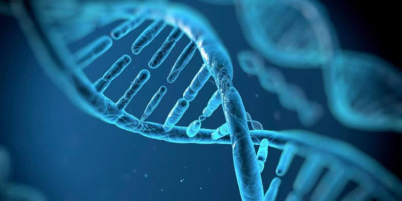 Europäische Biotech-Szene kartiert: 89 Startups gestalten Medizin neu